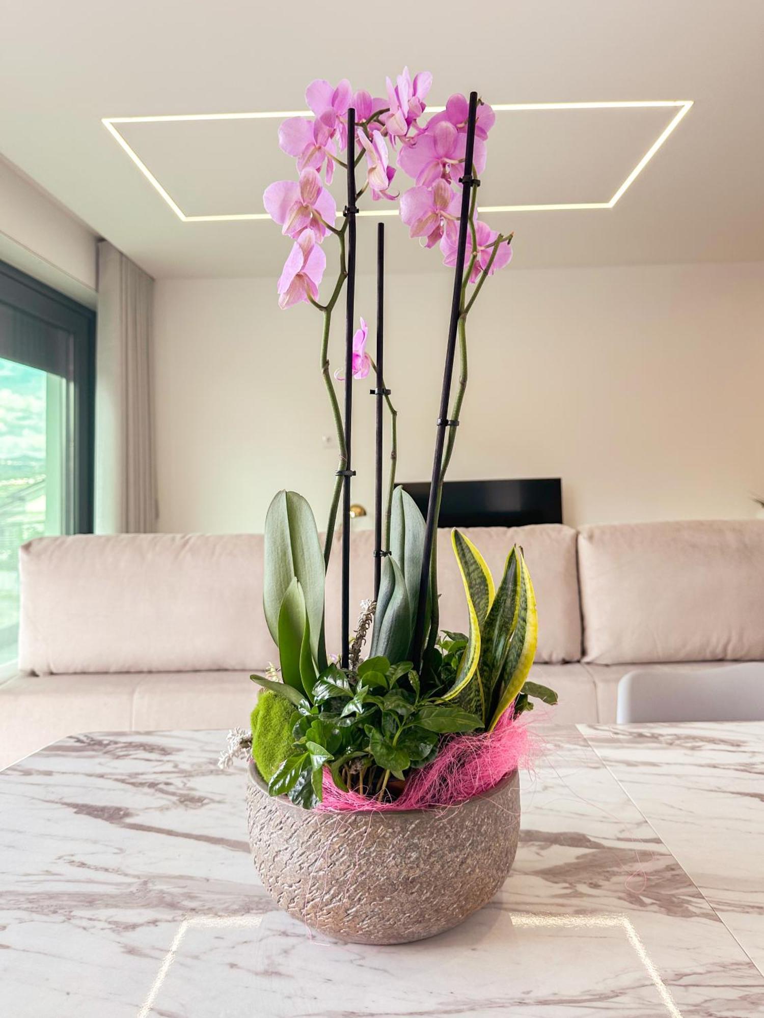 Flora Guest House Марку-ді-Канавезиш Екстер'єр фото